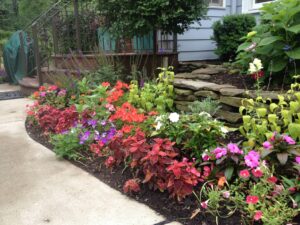 Landscape Maintenance